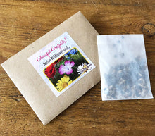 Kids Activity Pack - Bizzy Bees Young Explorers - The fun way to learn about nature!