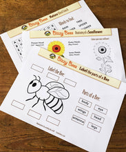 Kids Activity Pack - Bizzy Bees Young Explorers - The fun way to learn about nature!