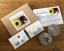 Kids Activity Pack - Bizzy Bees Young Explorers - The fun way to learn about nature!