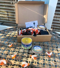 Patio Gift pack - Solar Bees and Citronella Candle to bring a warm glow to any patio!