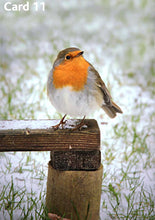 Bee Beautiful - Gift Set for Someone Special in your Life!