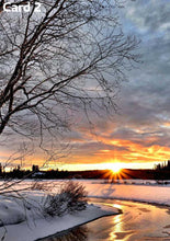 Bee Bountiful! - Patio Veg Hamper for the Gardener in your Life!