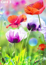 Bee Beautiful - Gift Set for Someone Special in your Life!