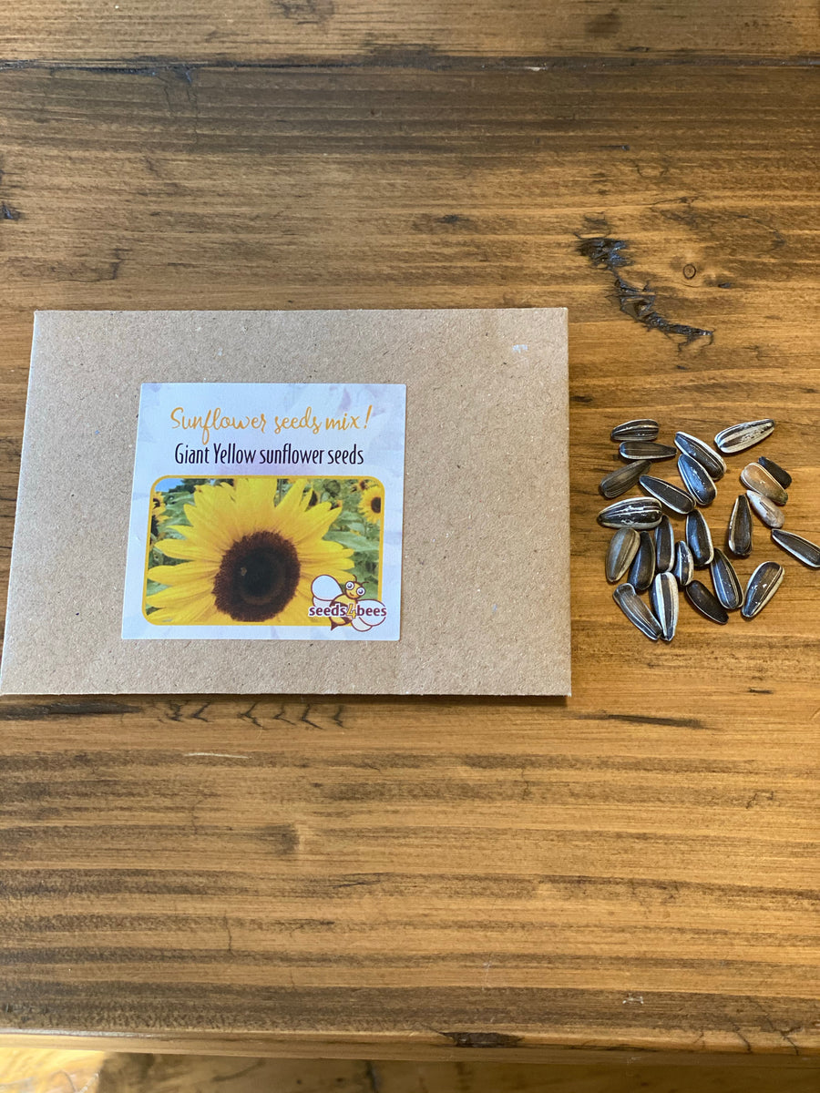 Giant Yellow Sunflower Seeds Seeds4Bees Ltd