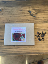 Red Sunflower Seeds