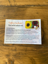 Giant Yellow and Red Sunflower Seeds