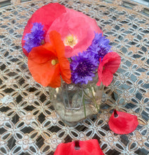 Bee Remembered - Always In Our Thoughts - Poppy & Cornflower Seeds - 10, 20, 30 or 40 packs