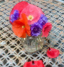 Poppy & Cornflower Seeds - Bee In Our Thoughts for Remembrance