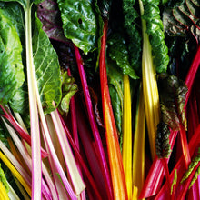 Bee Bountiful! - Patio Veg Hamper for the Gardener in your Life!