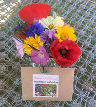 UK Wildflower Meadow Seeds - Premium mix