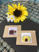 Giant Yellow and Red Sunflower Seeds