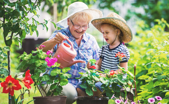 Rainy day activities for the kids during the holidays?