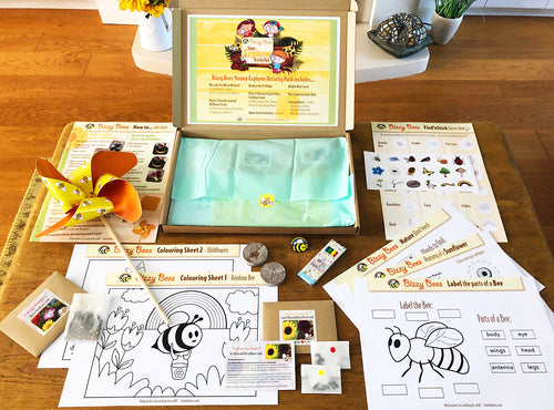 Kids Activity Pack - Bizzy Bees Young Explorers - The fun way to learn about nature!