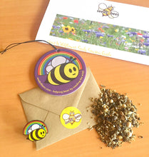 Rainbow for the Bees Wildflower Gift Pack - Help Save the Bees and Brighten our Lives!
