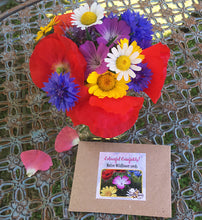 UK Native Wildflower seeds - Colourful Cornfields!