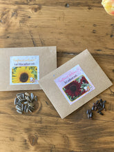 Giant Yellow and Red Sunflower Seeds