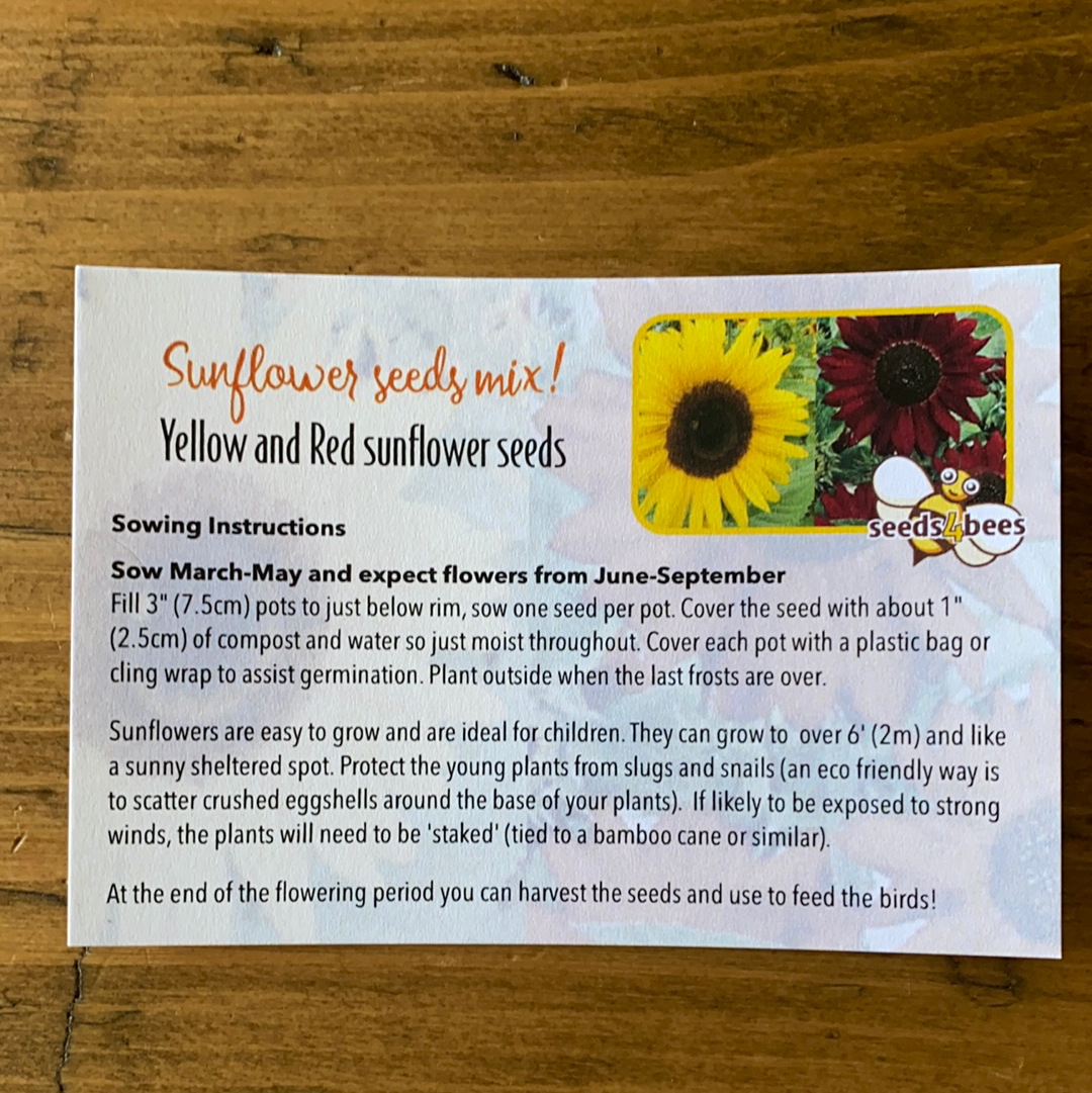 Giant Yellow Sunflower Seeds Seeds4Bees Ltd