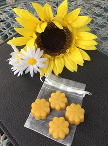 Sunflower 'Like a Sunflower' Gift Bag - Brighten your Garden and Lift your Spirits!