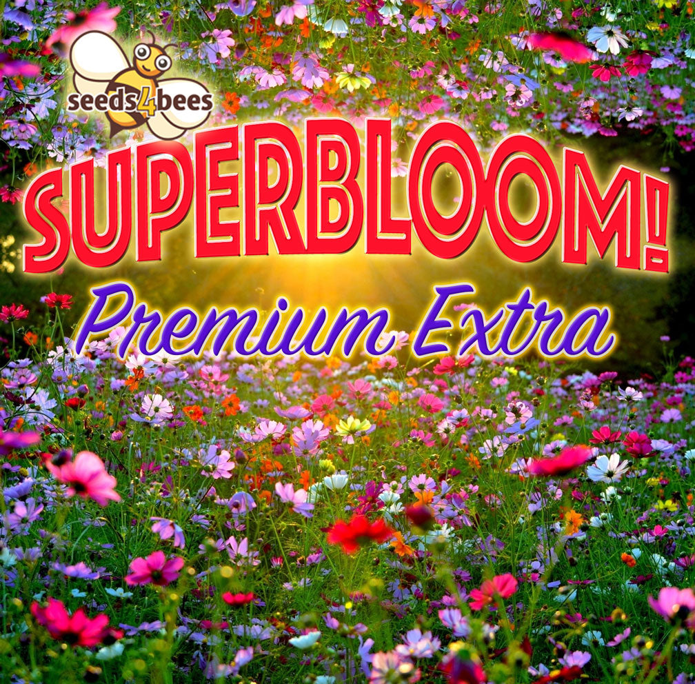 uk wildflower seeds UK Wildflower Seeds
