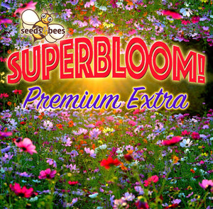 UK Wildflower Seeds - SuperBloom mix